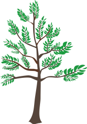 pngfind.com-tree-clipart-png-983681