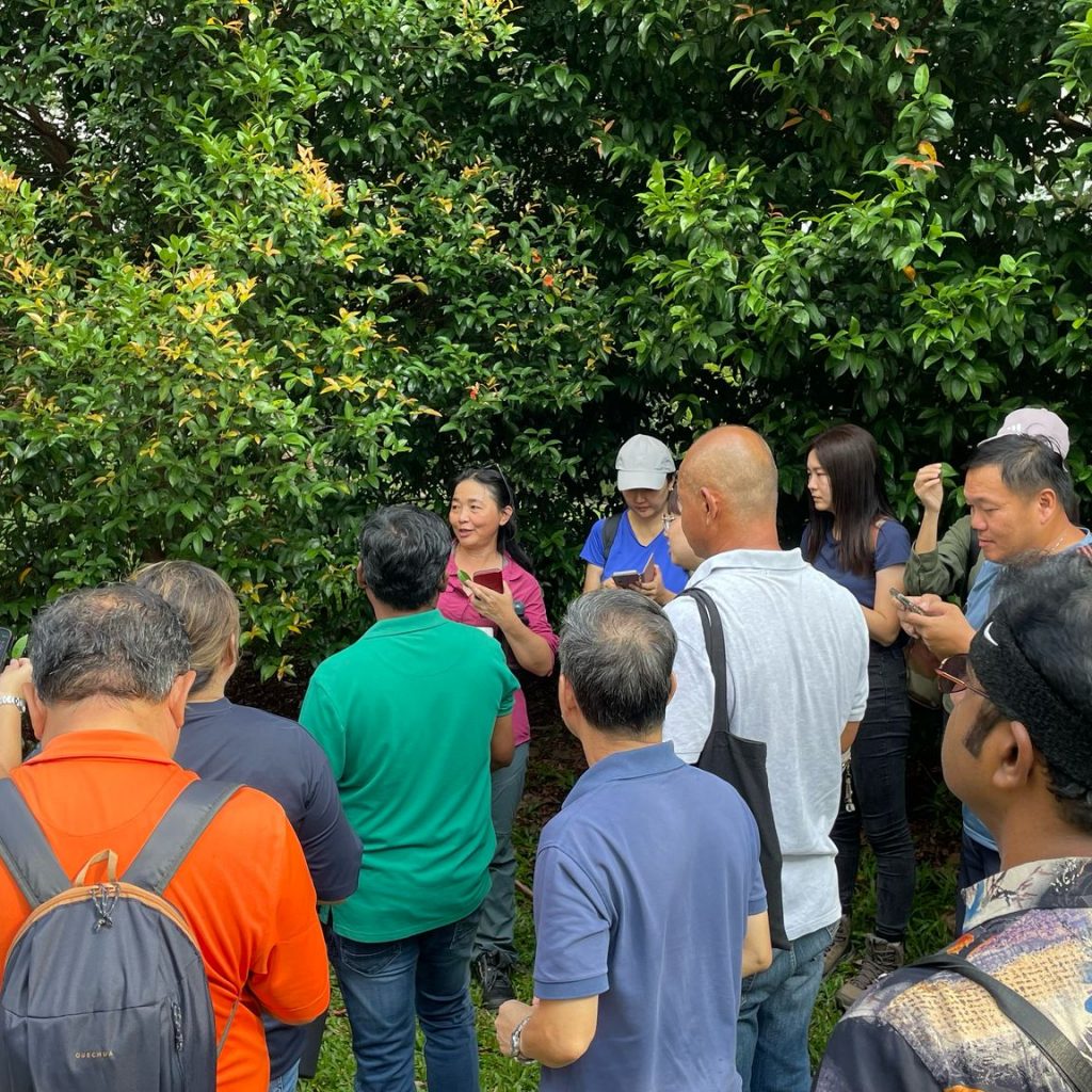 Plant ID Workshop II_ 01